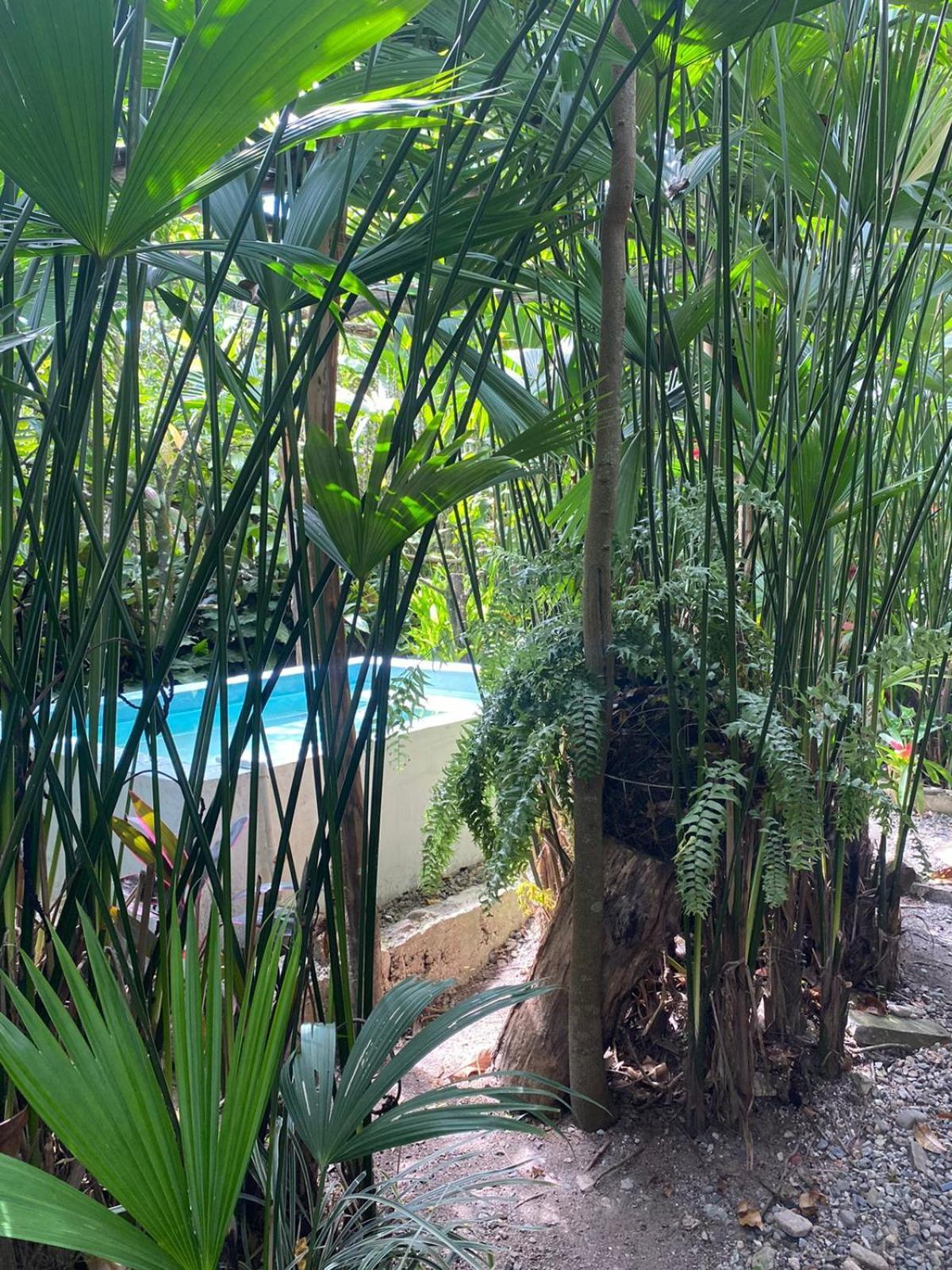 Hotel Sonia Eco-hostel